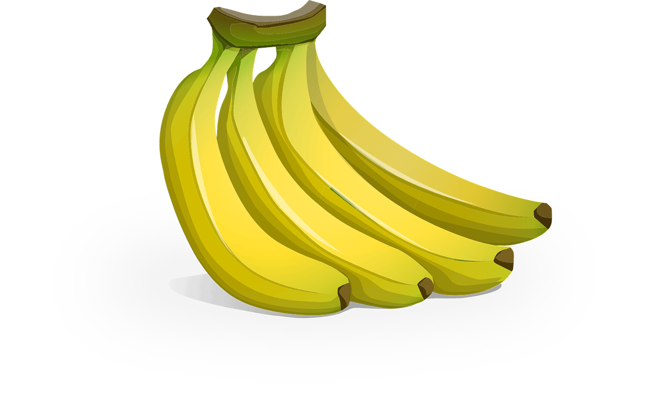 entdecken sie die besten tipps zur ernährung! erfahren sie, wie sie gesunde essgewohnheiten entwickeln, ihre nährstoffaufnahme optimieren und ihre allgemeine gesundheit durch ausgewogene ernährung verbessern können.