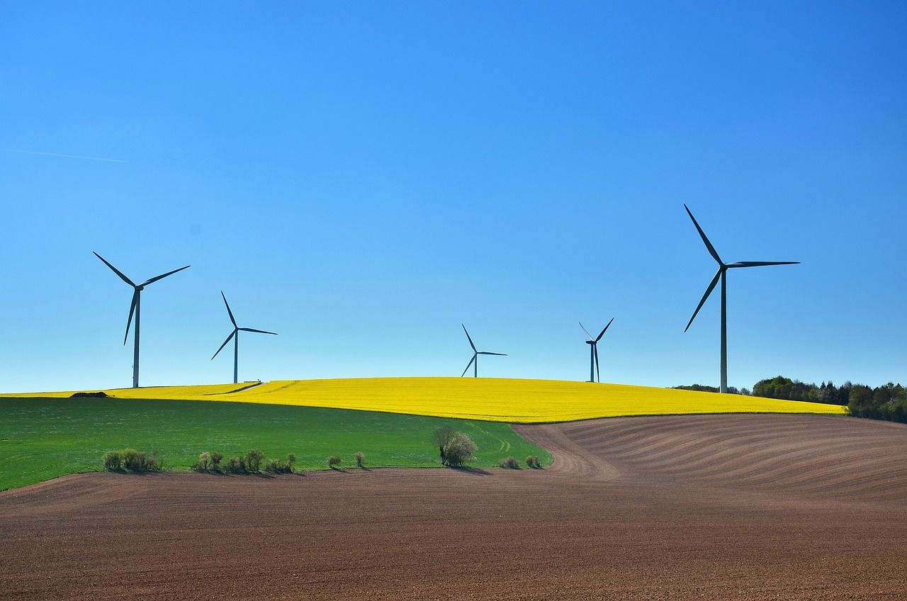 entdecken sie nachhaltige mode, die umweltfreundlich, ethisch und stilvoll ist. lassen sie sich von unseren kollektionen inspirieren, die aus hochwertigen, nachhaltigen materialien gefertigt sind und gleichzeitig einen positiven einfluss auf unseren planeten haben.