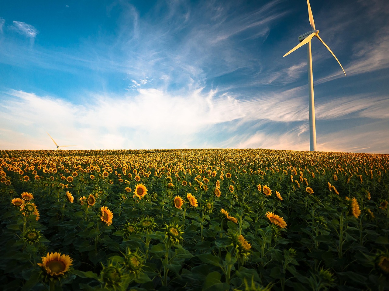 entdecken sie aufregende karrierechancen im bereich der windenergie. erfahren sie alles über die verschiedenen berufe, die in dieser zukunftsweisenden branche verfügbar sind, und wie sie teil der energie-revolution werden können.