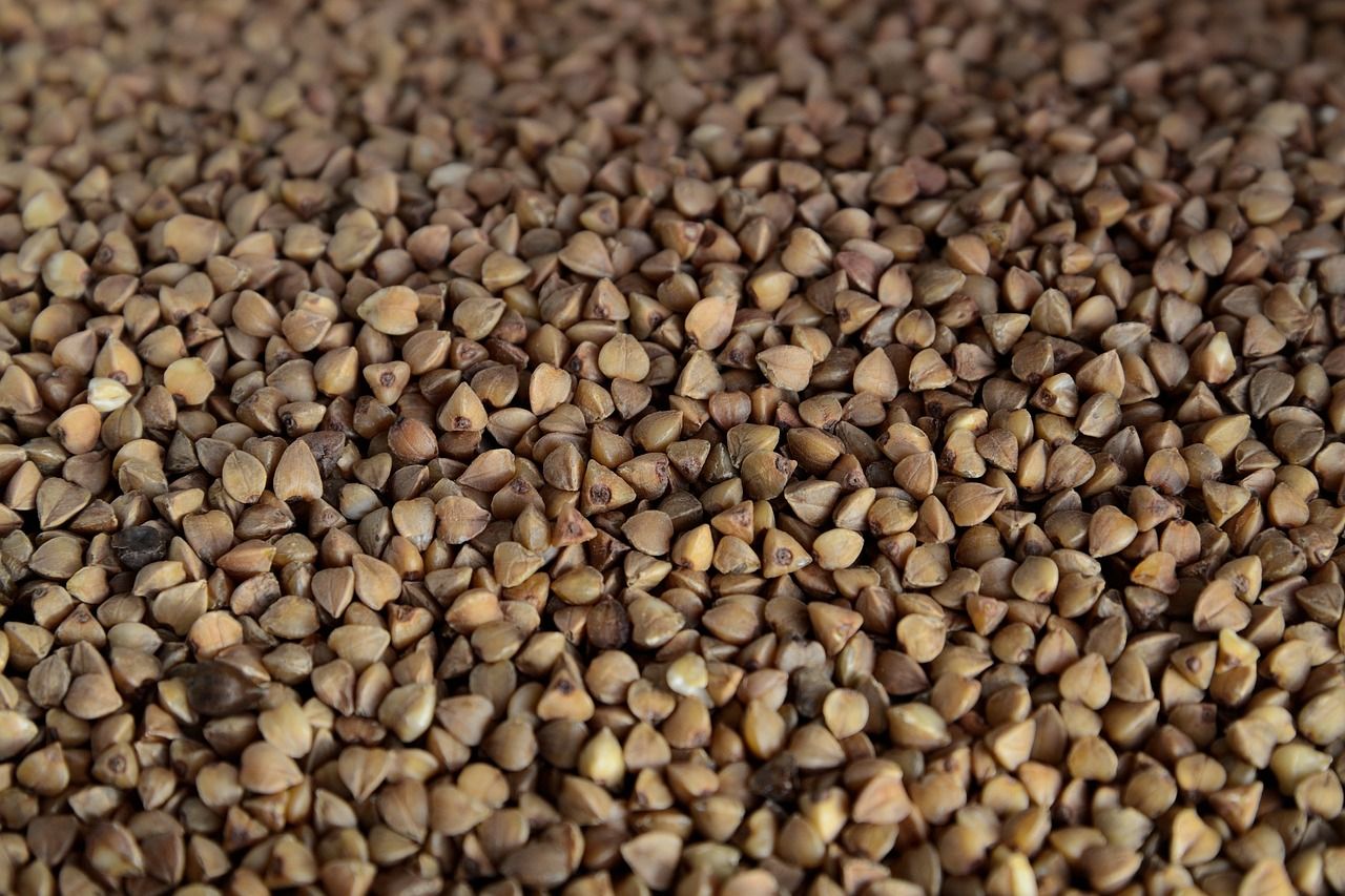 entdecken sie effektive diäten für eine gesunde lebensweise. finden sie tipps zur gewichtsreduktion und rezepte, die ihnen helfen, ihre ziele zu erreichen.