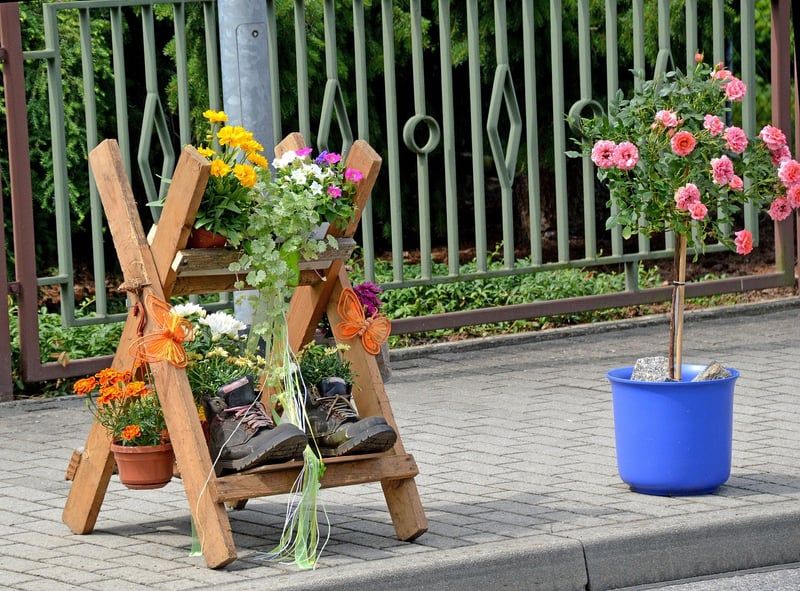 blumen