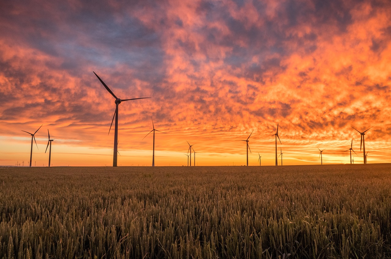 Wie entwickelt sich der Arbeitsmarkt für Windenergie Techniker im Jahr 2025?