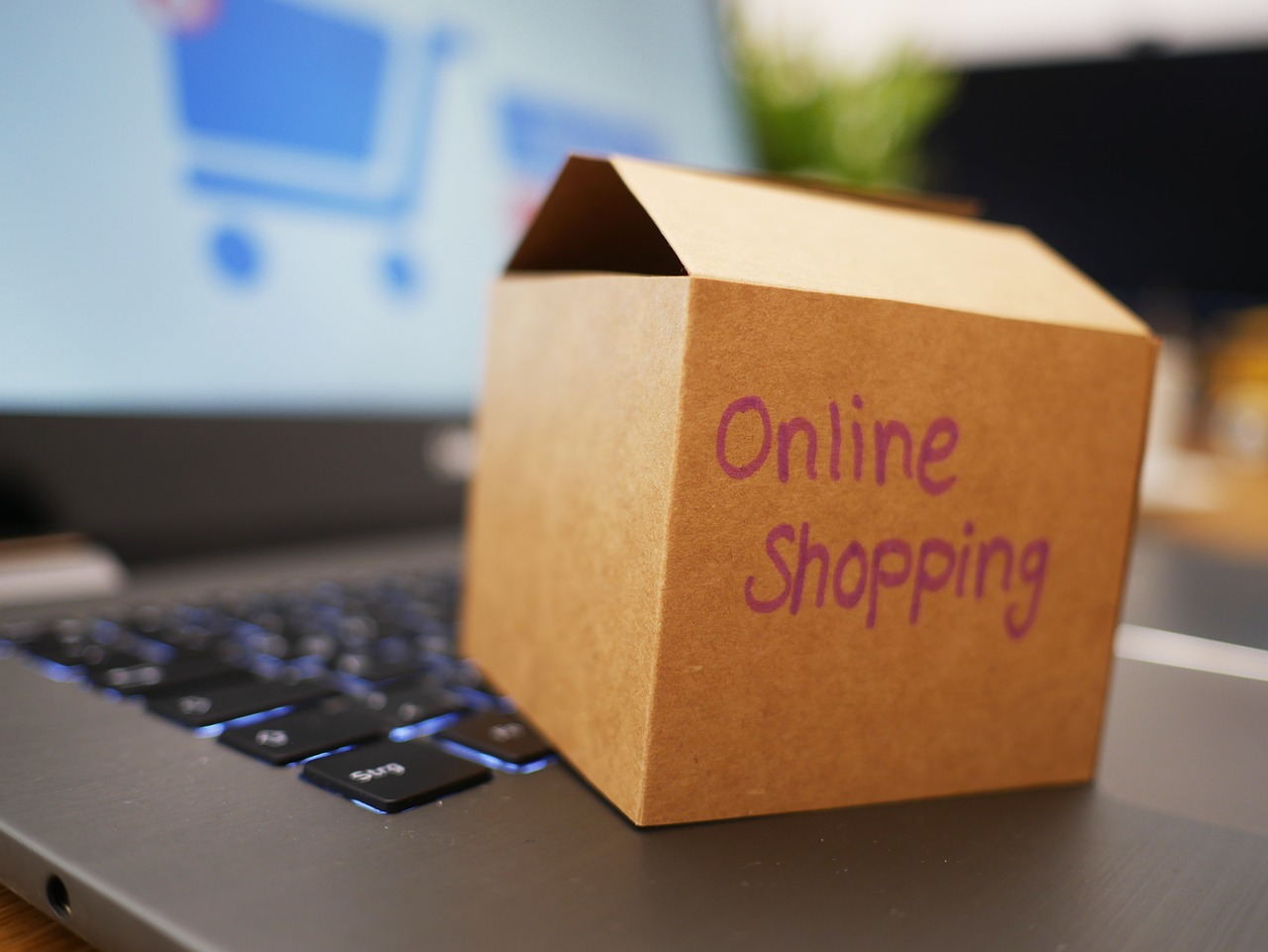Online Shopping: Die besten Tipps für ein sicheres Einkaufserlebnis