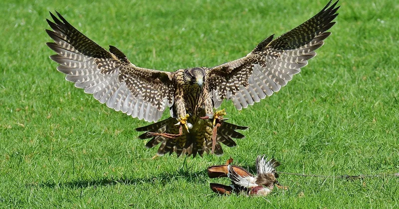 Wildpark Poing und andere Tiererlebnisse: Unsere Erfahrung nach 14 Besuchen