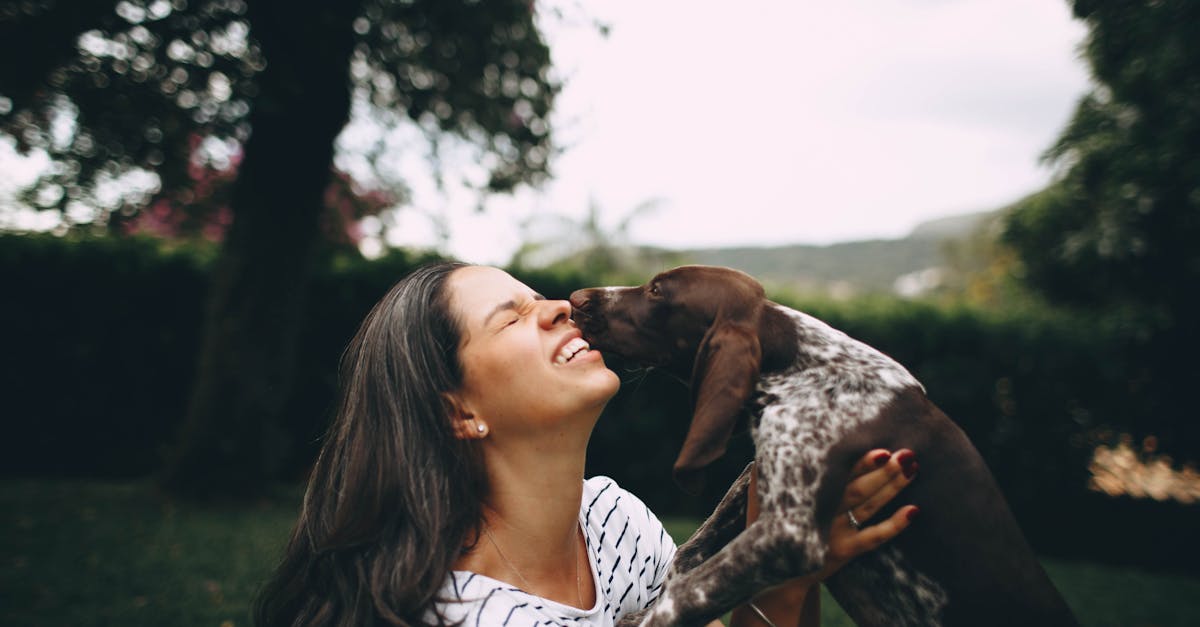 erfahren sie alles über die haustierhaltung: tipps zur auswahl des richtigen tieres, pflege, training und die freude, die unsere tierischen freunde in unser leben bringen.