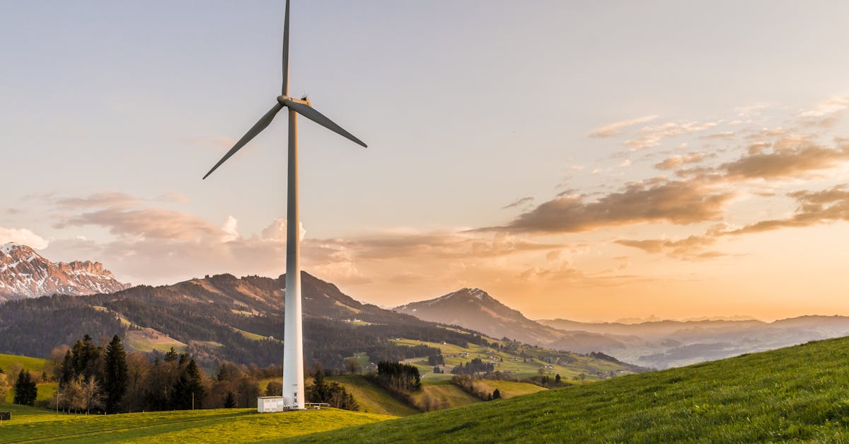 entdecken sie die grundlagen der nachhaltigkeit, ihre bedeutung für die umwelt und wie sie durch bewusste entscheidungen einen positiven einfluss auf die welt ausüben können.