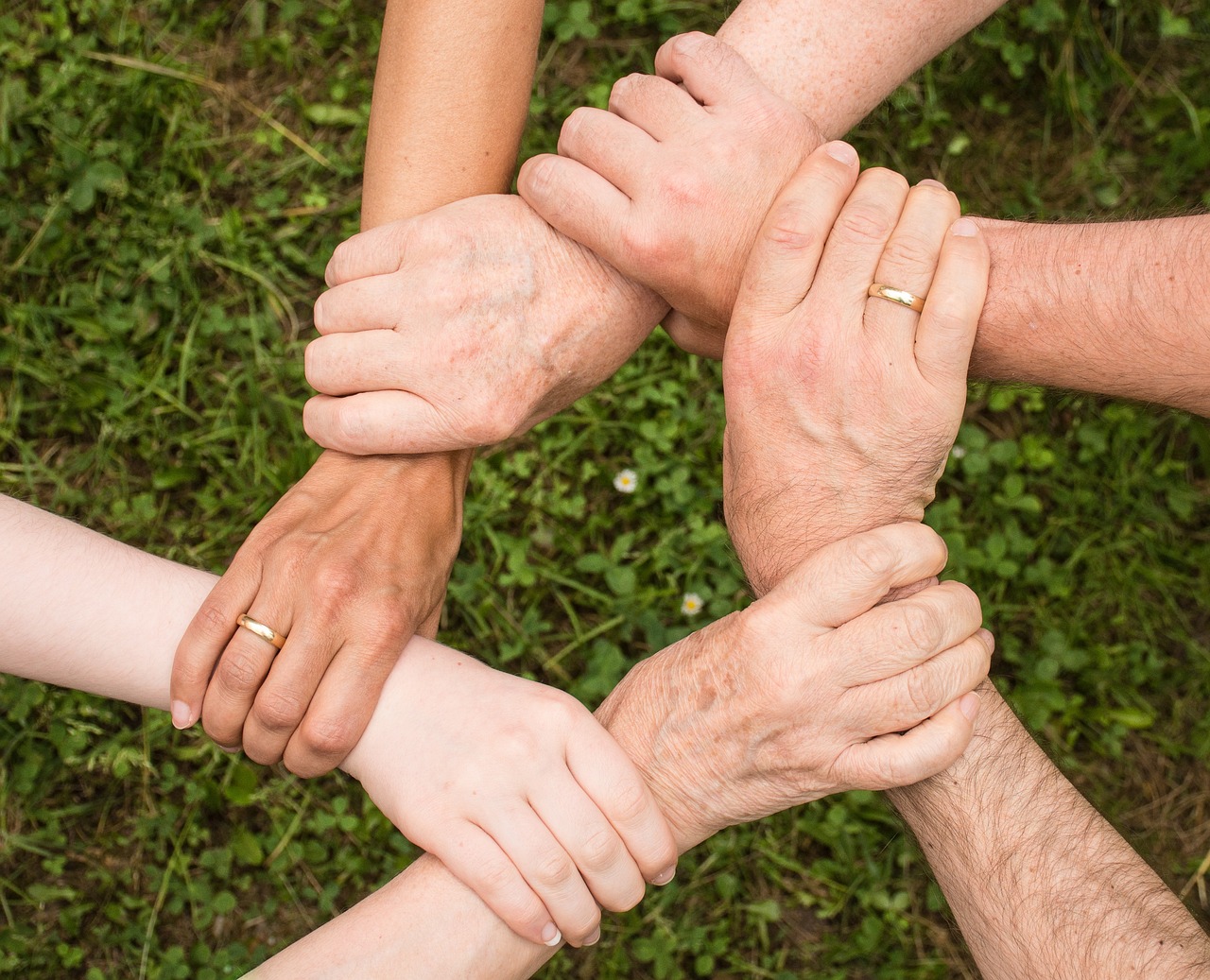 entdecken sie die besten haustiere für ihre familie! erfahren sie, wie haustiere das leben bereichern, die kinder glücklich machen und das zuhause beleben. tipps zur auswahl, pflege und erziehung von familienhaustieren.