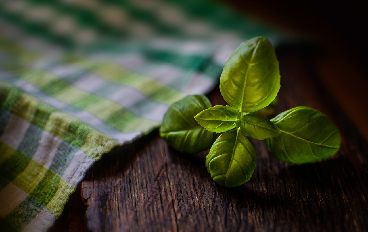 entdecken sie die faszinierende welt der wilden kräuter! von aromatischen küchenzutaten bis zu heilenden pflanzen - erfahren sie, wie sie wilde kräuter in ihrer küche und für ihre gesundheit nutzen können.