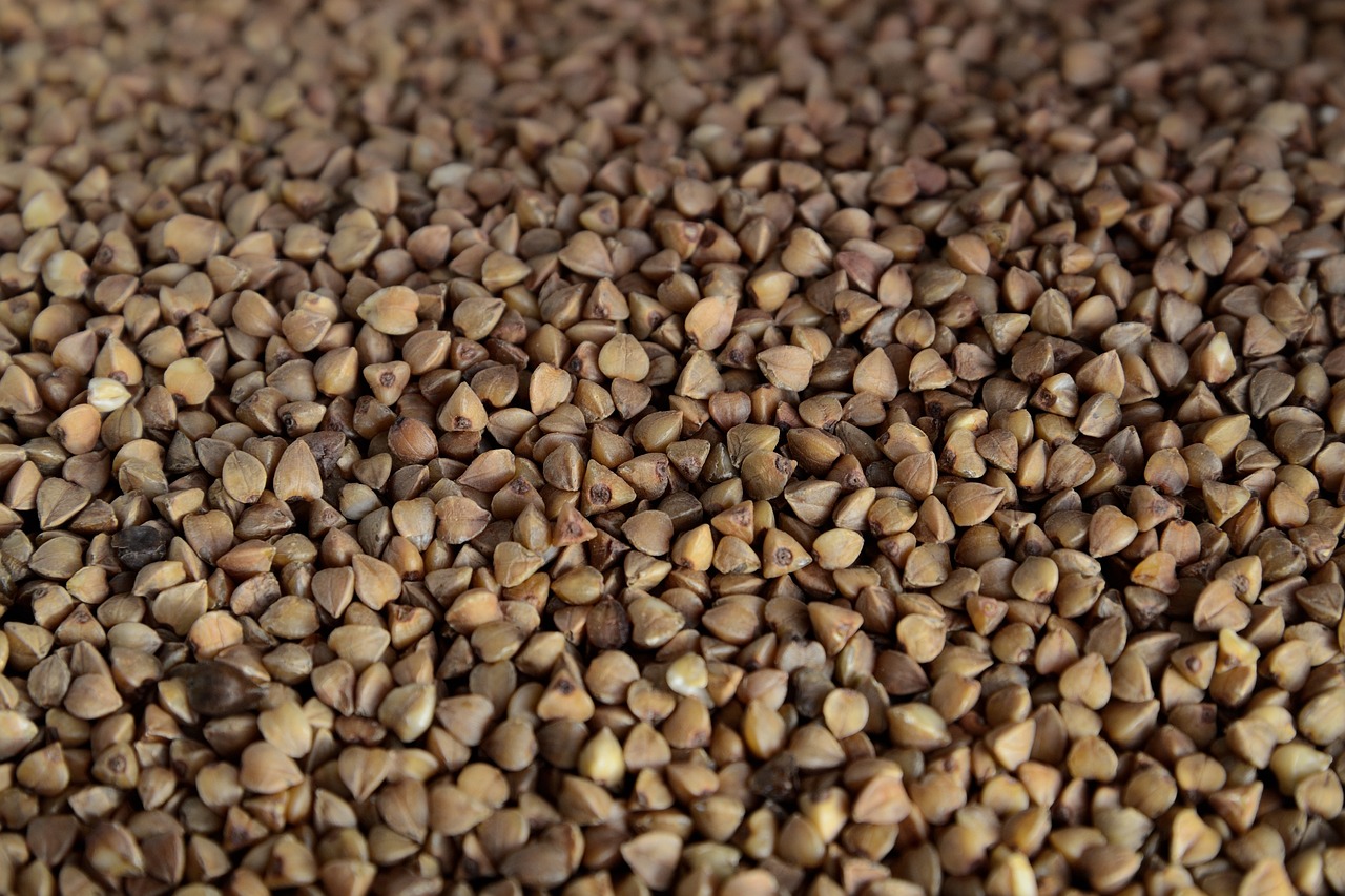 entdecken sie effektive diäten für eine gesunde lebensweise. finden sie tipps zur gewichtsreduktion und rezepte, die ihnen helfen, ihre ziele zu erreichen.