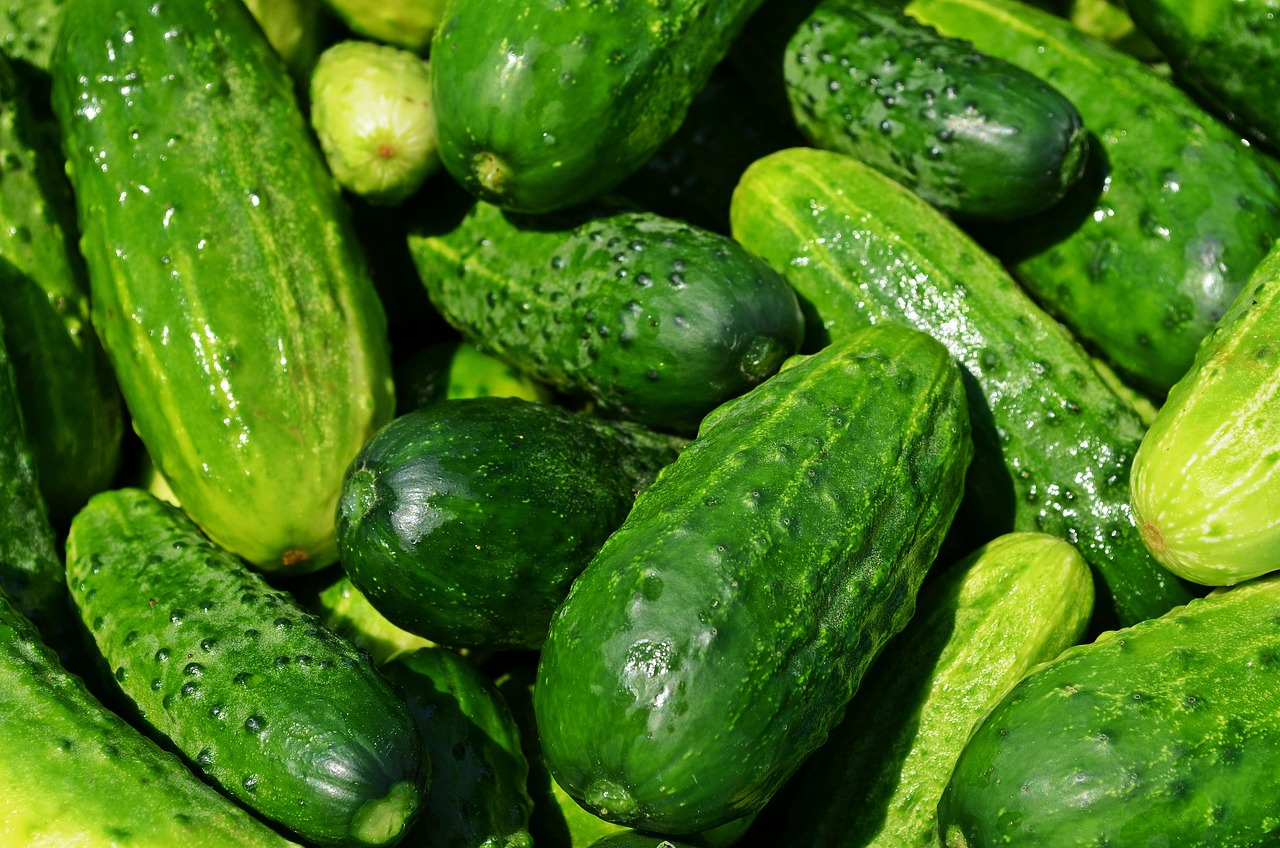 entdecken sie effektive diäten, gesunde ernährungsweisen und nützliche tipps für eine ausgewogene lebensweise. verbessern sie ihr wohlbefinden und erreichen sie ihre gesundheitsziele mit unseren umfassenden ratgebern zur ernährung.