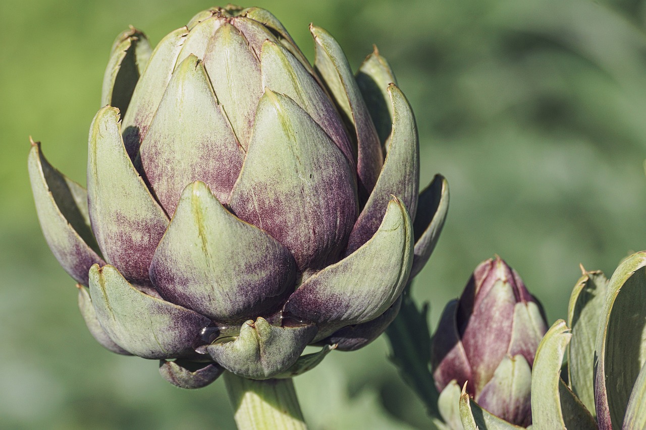 entdecken sie alles über ernährung: tipps für eine ausgewogene ernährung, gesunde rezepte und nahrungsergänzungsmittel für ihr wohlbefinden.