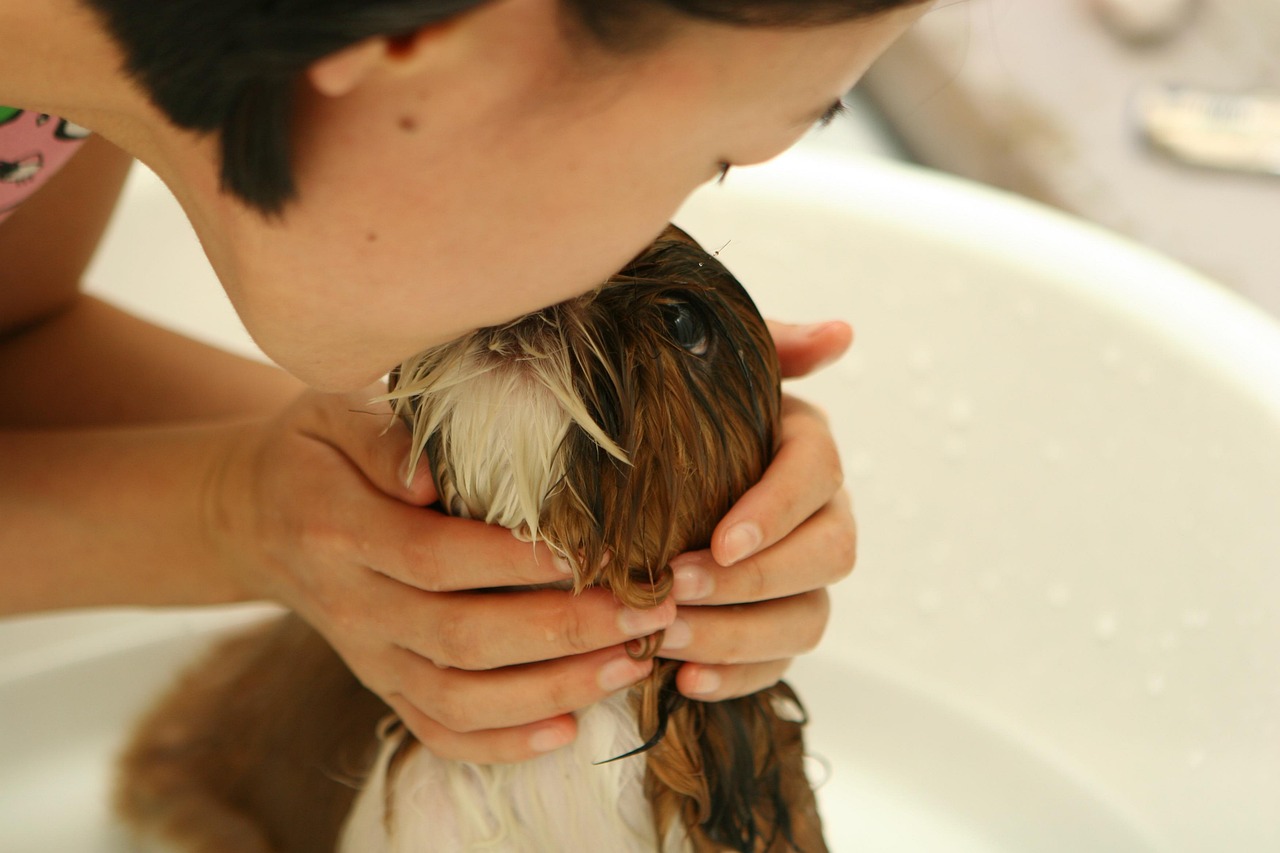 entdecken sie die besten tipps und tricks zur tierpflege! von ernährung über gesundheit bis zu wohlbefinden – alles für ihr geliebtes haustier.