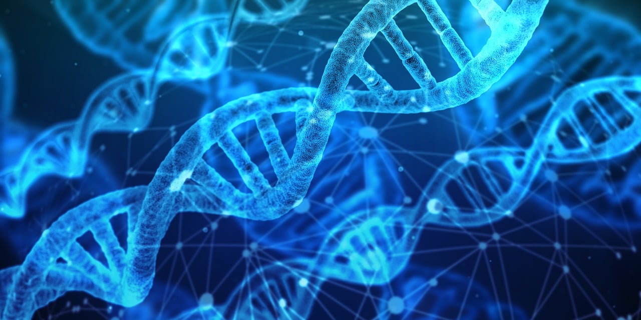 entdecken sie die neuesten technologischen innovationen, die die zukunft gestalten. von bahnbrechenden fortschritten in der ki bis hin zu nachhaltigen lösungen – bleiben sie informiert über die trends, die unsere welt verändern.
