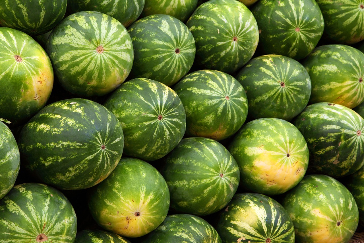 marktforschung ist entscheidend für den erfolg eines unternehmens. durch gezielte analysen gewinnen sie wertvolle einblicke in markttrends, verbraucherpräferenzen und wettbewerbsstrategien, um fundierte entscheidungen zu treffen und ihr geschäft nachhaltig zu entwickeln.