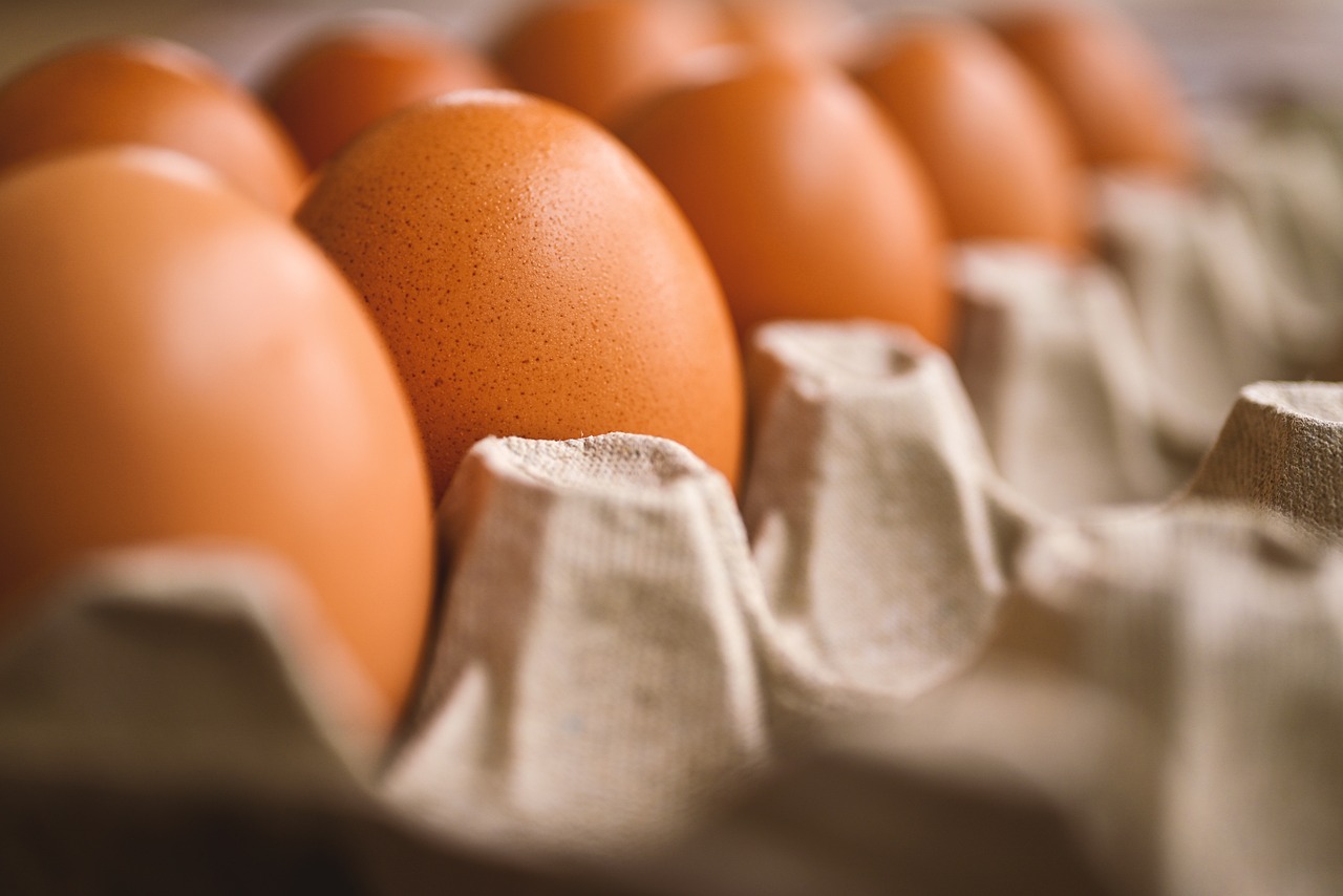 entdecken sie die welt des kochens mit köstlichen rezepten, tipps und techniken, um ihre kulinarischen fähigkeiten zu verbessern und einzigartige gerichte zuzubereiten.