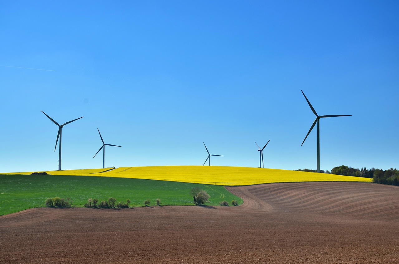 entdecken sie nachhaltige mode, die umweltfreundlich, ethisch und stilvoll ist. lassen sie sich von unseren kollektionen inspirieren, die aus hochwertigen, nachhaltigen materialien gefertigt sind und gleichzeitig einen positiven einfluss auf unseren planeten haben.