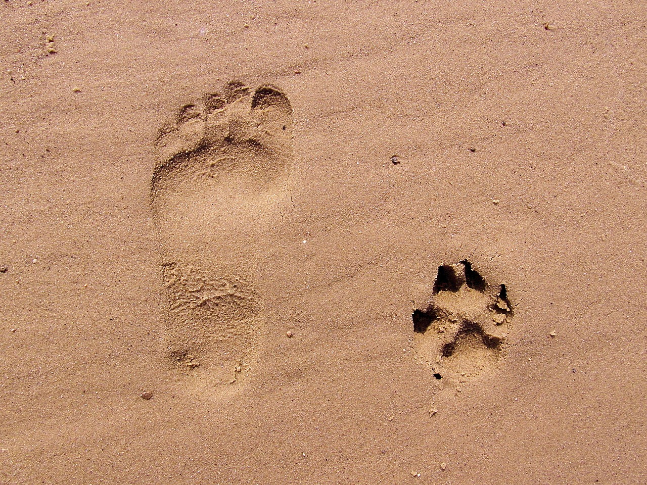 erfahren sie mehr über den ökologischen fußabdruck, seine bedeutung für die umwelt und wie sie ihren eigenen fußabdruck reduzieren können, um unseren planeten zu schützen.