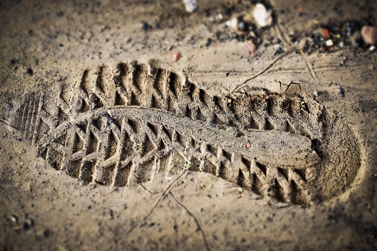 entdecken sie den ökologischen fußabdruck und erfahren sie, wie ihr lebensstil die umwelt beeinflusst. erfahren sie, welche schritte sie unternehmen können, um ihren ökologischen fußabdruck zu reduzieren und einen nachhaltigeren lebensstil zu fördern.