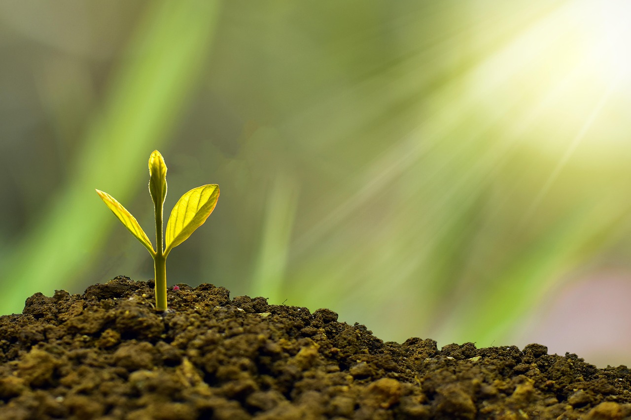 entdecken sie ethische investitionen, die sowohl finanzielle rendite als auch positive soziale auswirkungen bieten. erfahren sie, wie sie ihre werte in ihre anlageentscheidungen integrieren können.